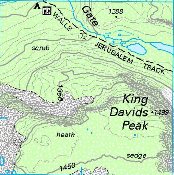 King davids.JPG