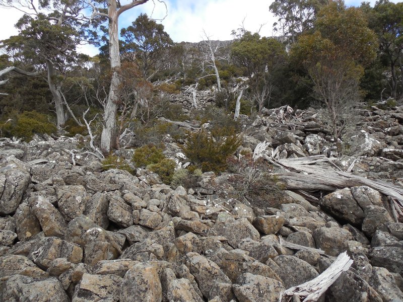 DSCN0676.jpg