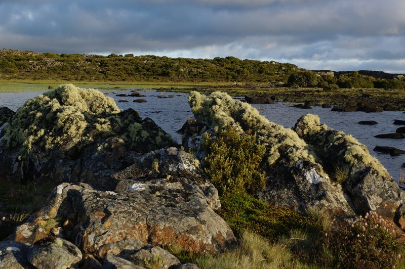 4519RocksNearDouglas.JPG