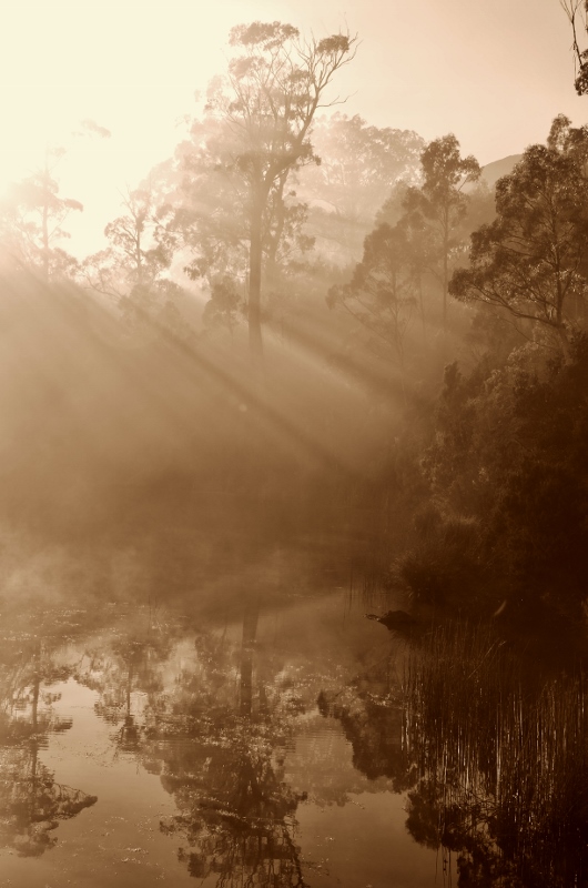 Lake Rosebery (32) sp (530x800).jpg