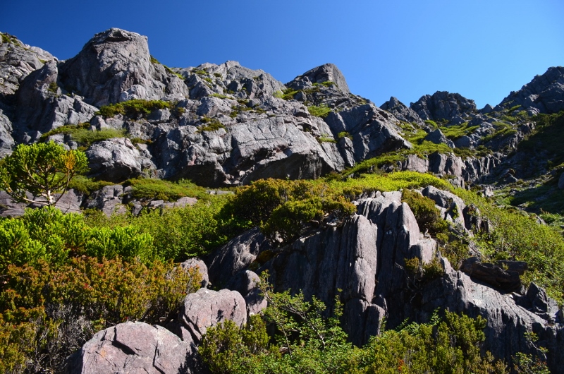 Mount Murchison (88) (800x530).jpg