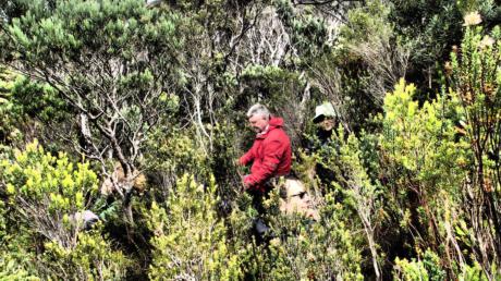 Descent off Hadmar, if you look close you can make out 4 people caught up in that scrub.JPG