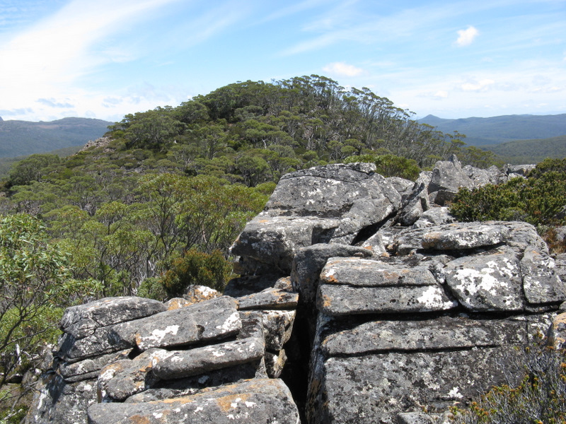 IMG_3097 Davis Lookout.JPG
