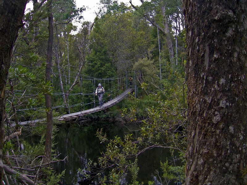 Should not Penguins swim the Lodden River.jpg