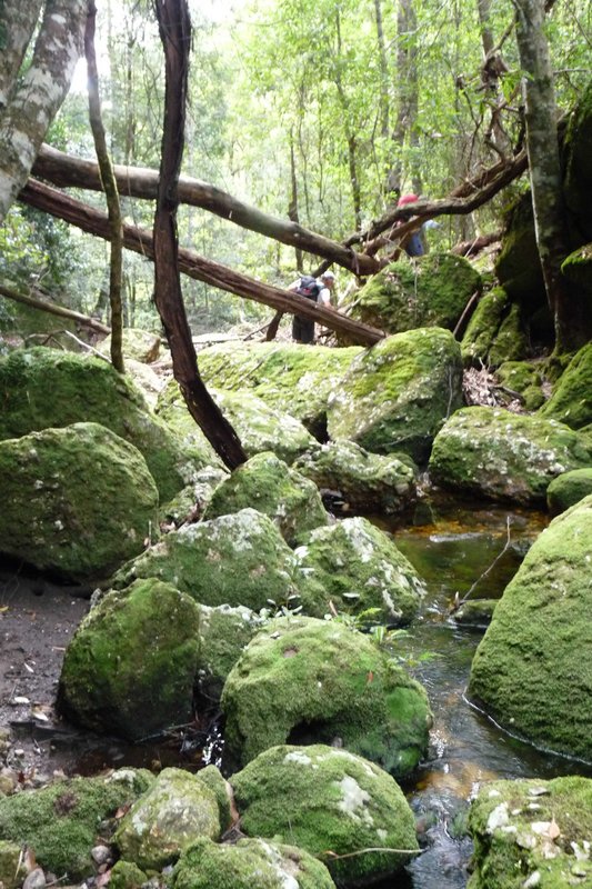 Angel Creek, heading towards Crooked Falls.jpg