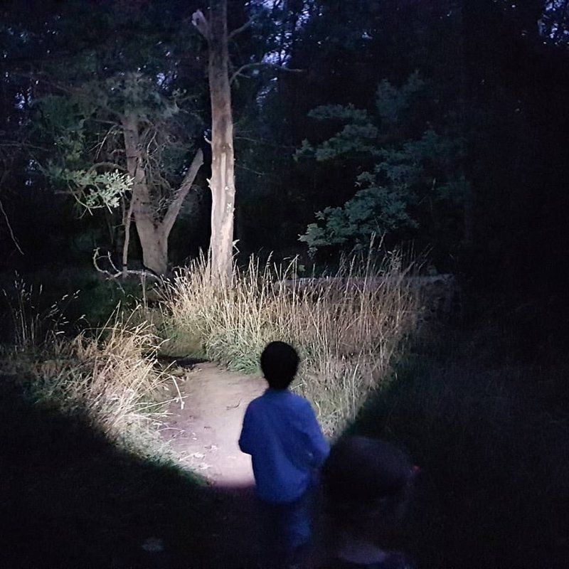 Spotlighting with the kids.jpg