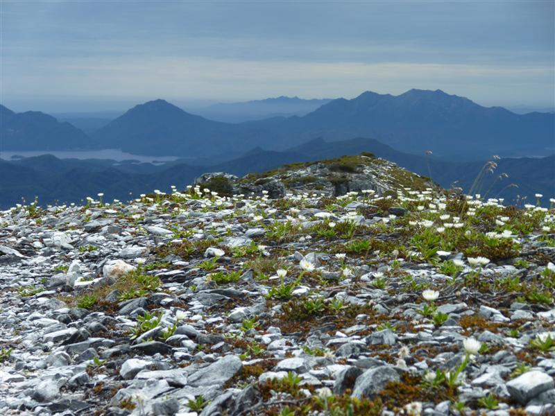 Looking NNW to Lake Burbury from Lions Head.jpg