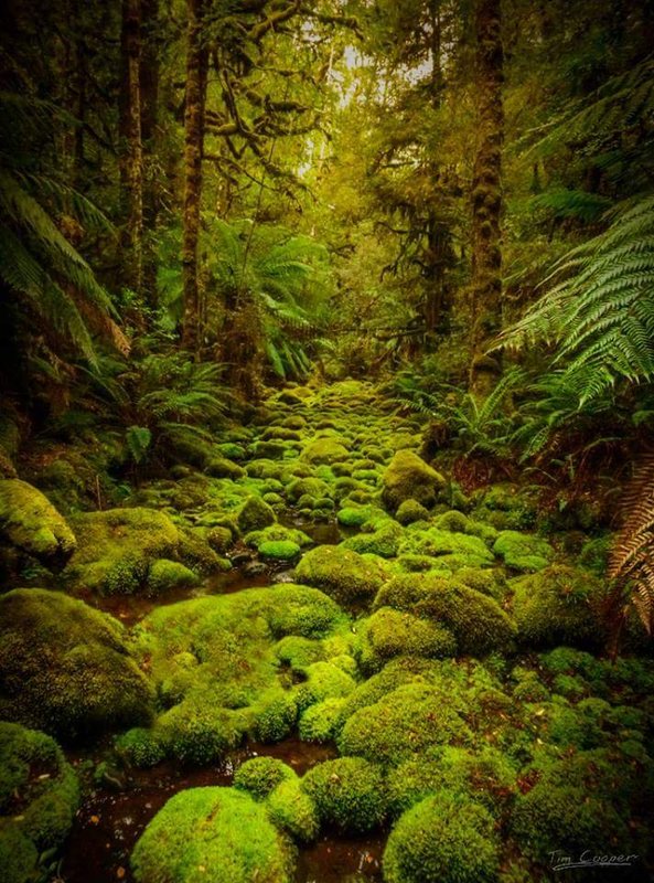 hatfield river1.jpg