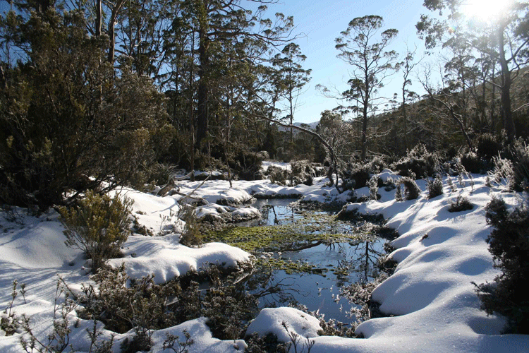 Snowy-pond.gif