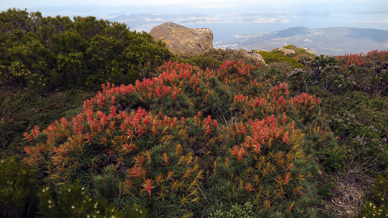 2411-MT-WELLINGTON-020.jpg