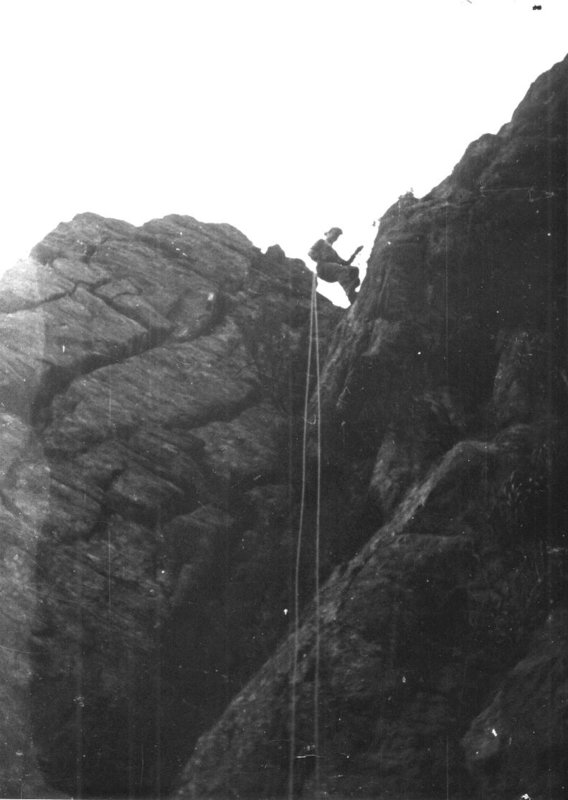 SWTassie4S.jpg