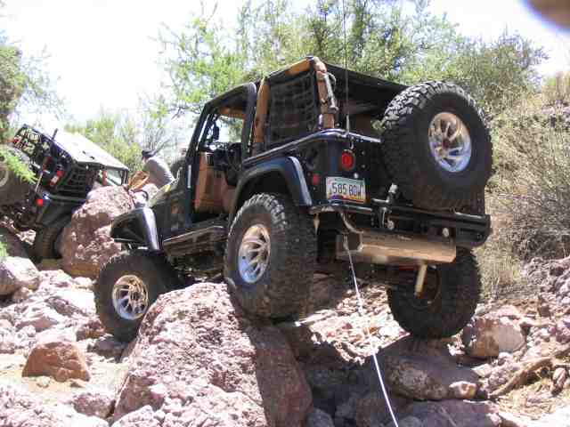Wrangler.jpg