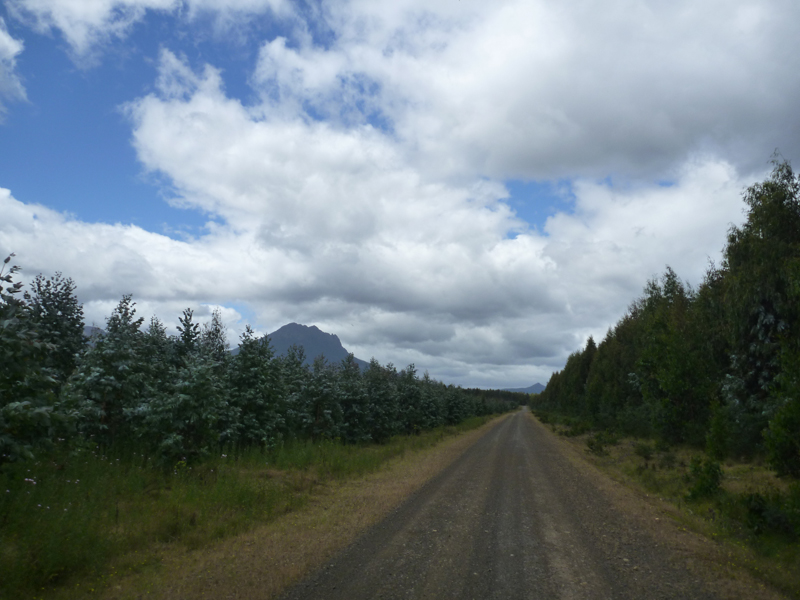 monoculture w FW at rear.jpg
