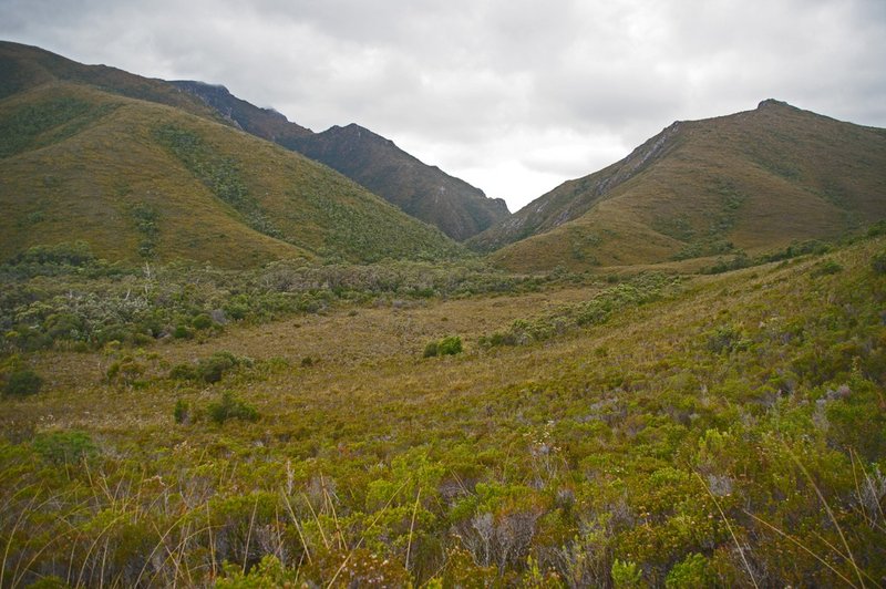 1160Gorge.jpg