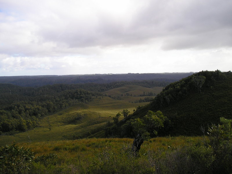 P1010486.JPG
