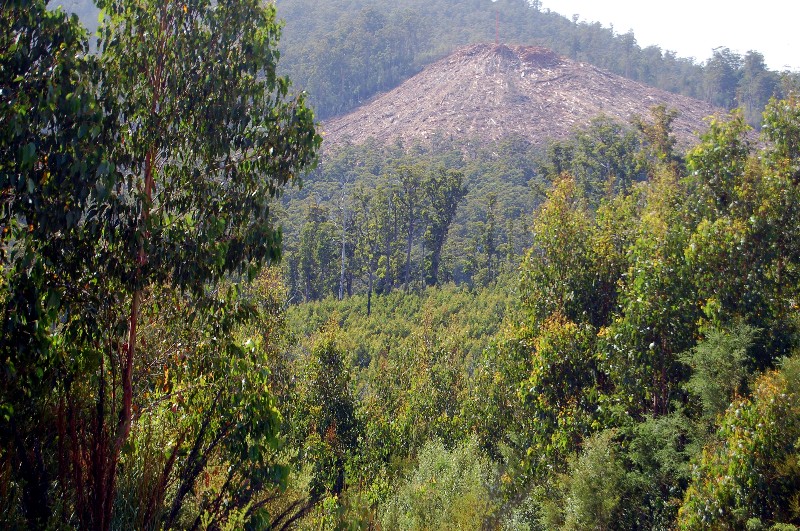 Tahune2.JPG