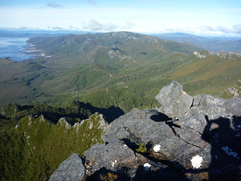 P1000381.jpg