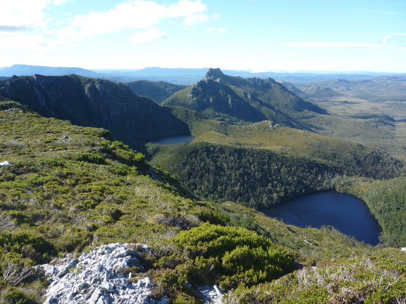 P1000415.jpg
