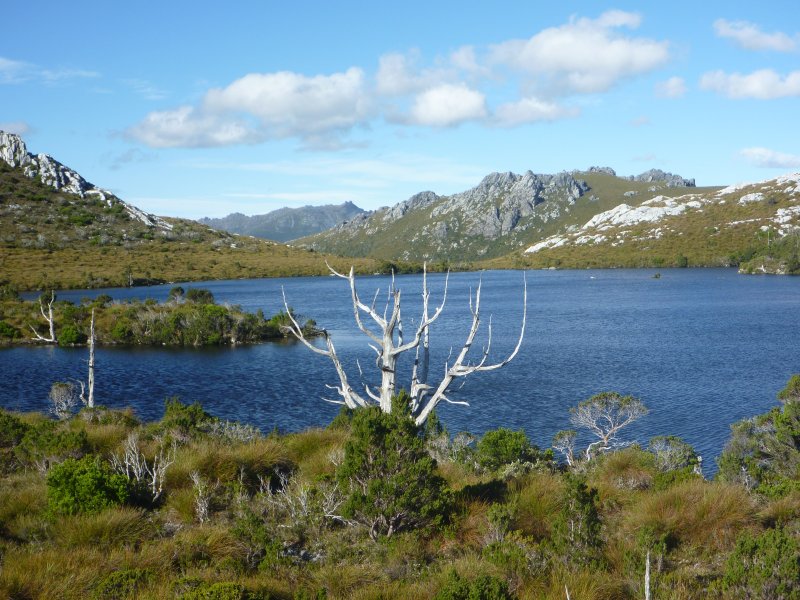 P1000423.jpg