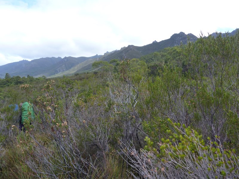 P1000446.jpg