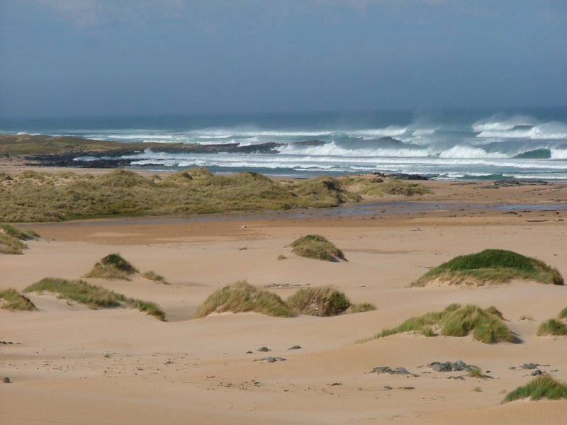Coast.jpg
