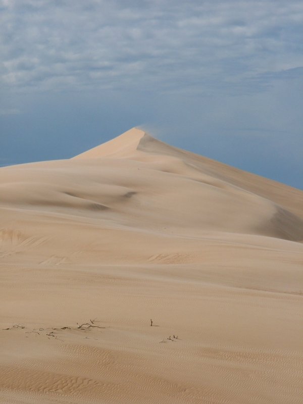 Sand dune.jpg