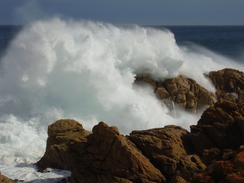 Wave.jpg