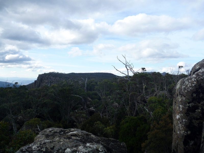 The Non Charles Summit View.jpg