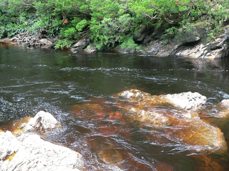 P1030407.jpg