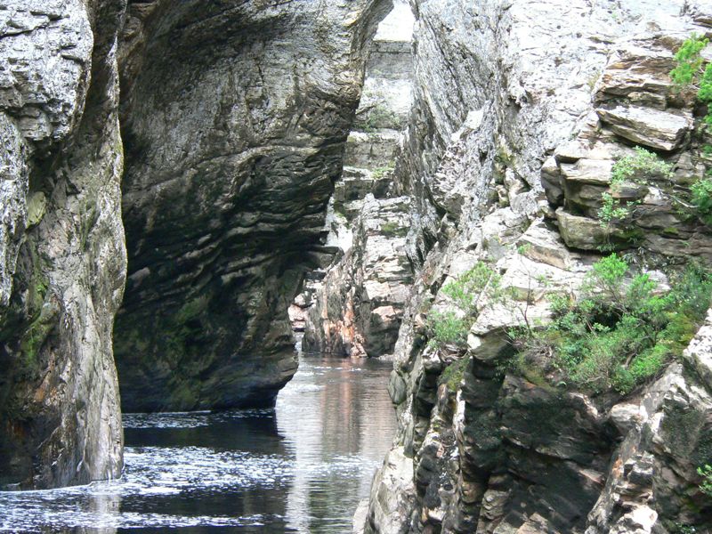P1030419.jpg