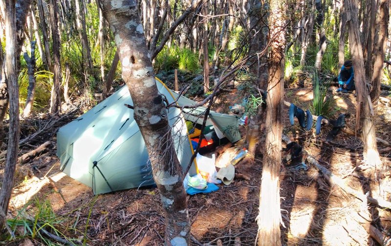 2019-12-27 Xmas Walk Moonlight Ridge-Pigsty Ponds (7) 560 contour alt. camp.jpg