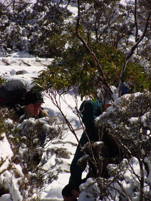 In the snow.jpg