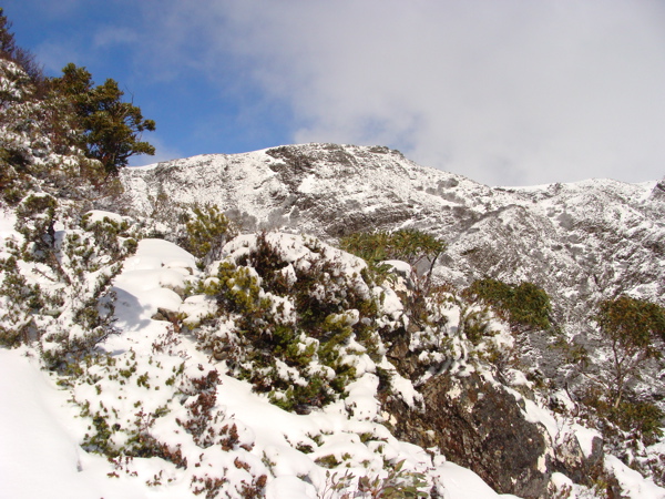On the way up.jpg