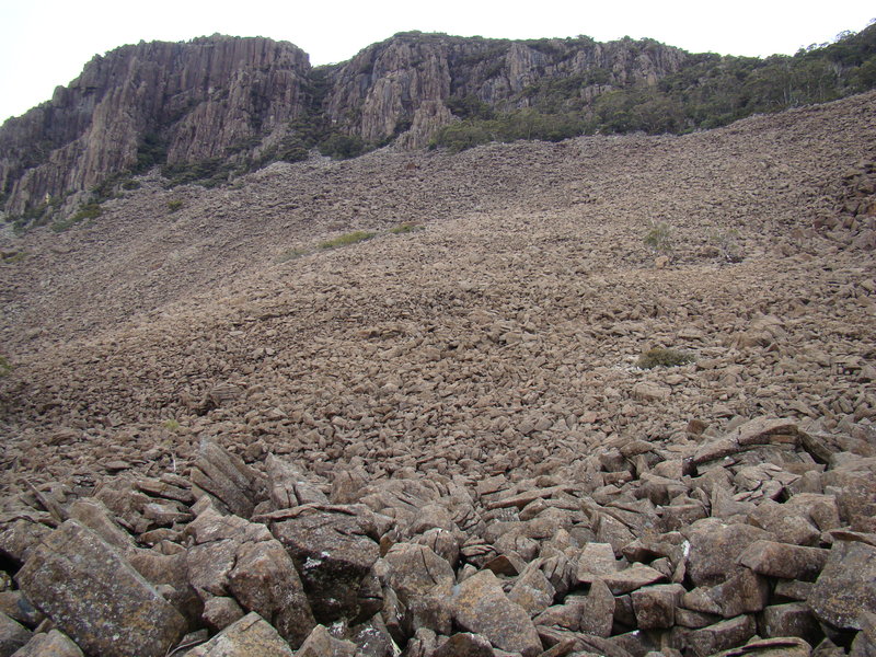 2010_0530seth0003.JPG