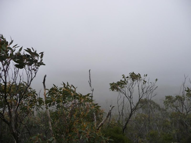 Mt Patrick 4.6 (2)_Medium.JPG