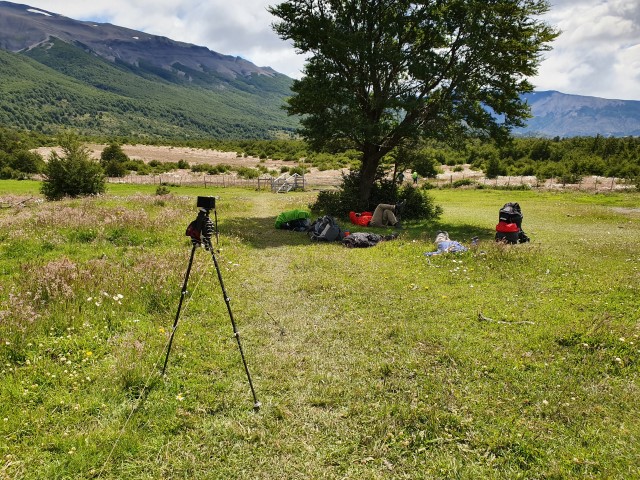 DIY Tripod Tree Siesta.jpg