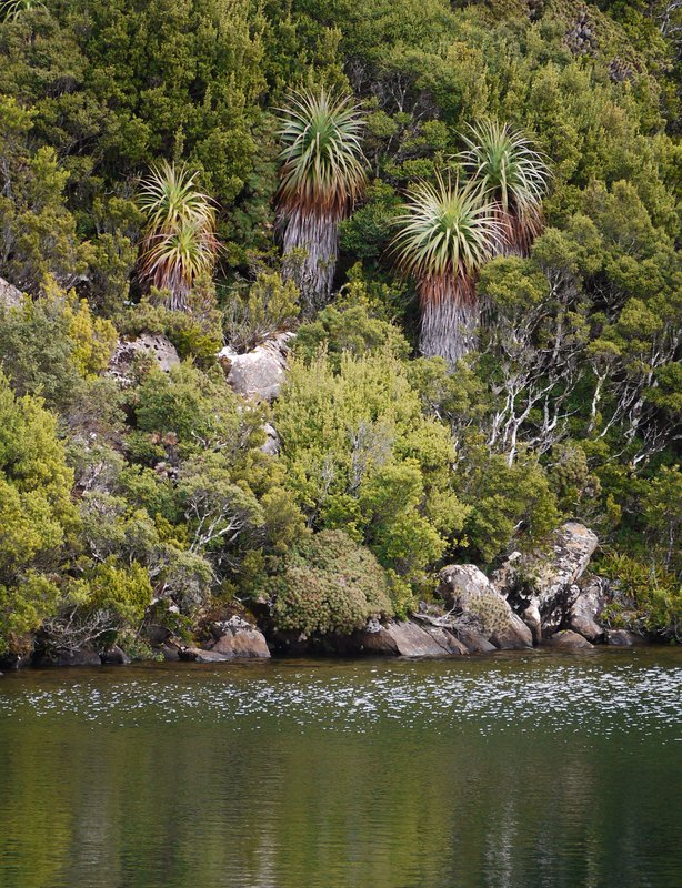 Mt Hartz NP A.JPG