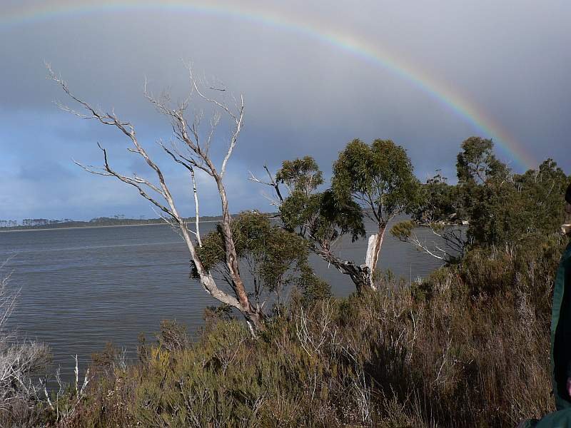 2008-08 Southport Lagoon Walk Pams pic 2 s.jpg