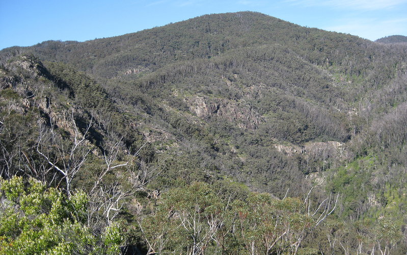 donovan_and_gorge.jpg