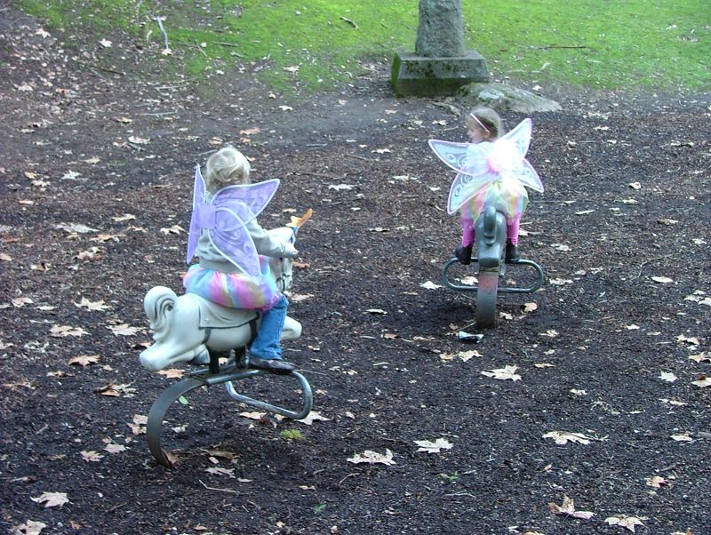 DSCF3773.jpg