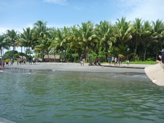 P1000129.jpg