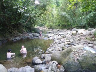 P1000547.jpg