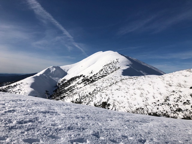 feathertop.JPG