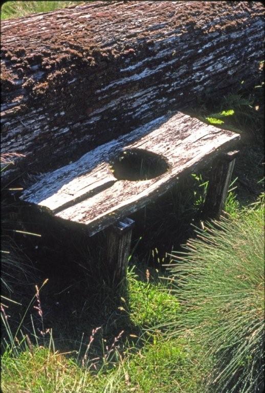 Toilet_Leespaddocks.jpg