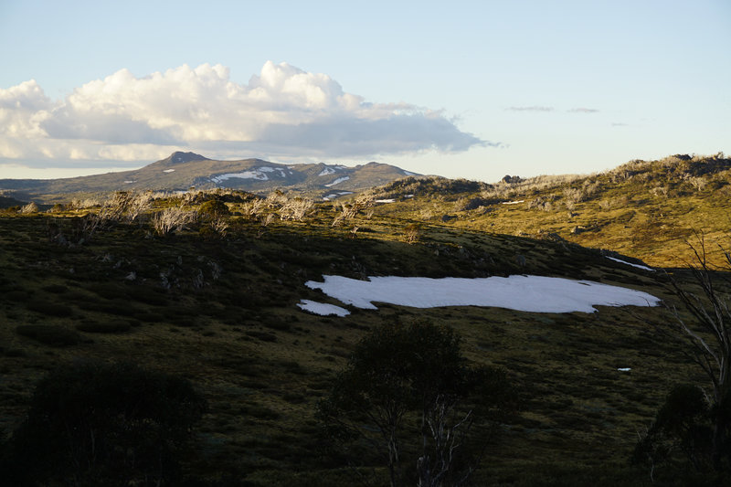 view from a hut.jpg