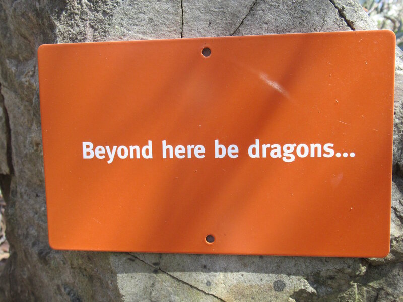 dragons.jpg
