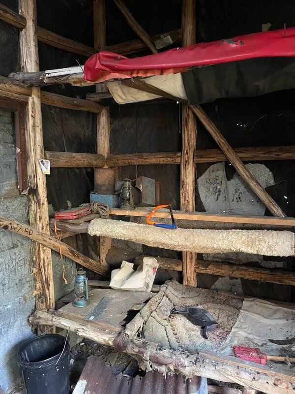 IMG_4699 (1).jpeg