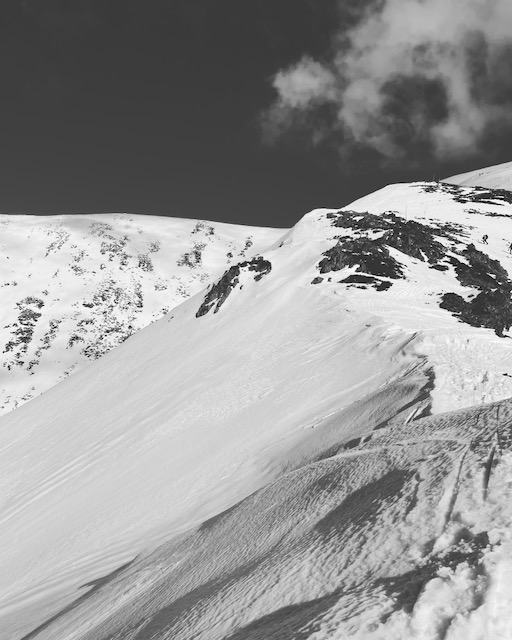 0F6435DC-9A98-48A7-850D-26CC0164E6D2.jpeg