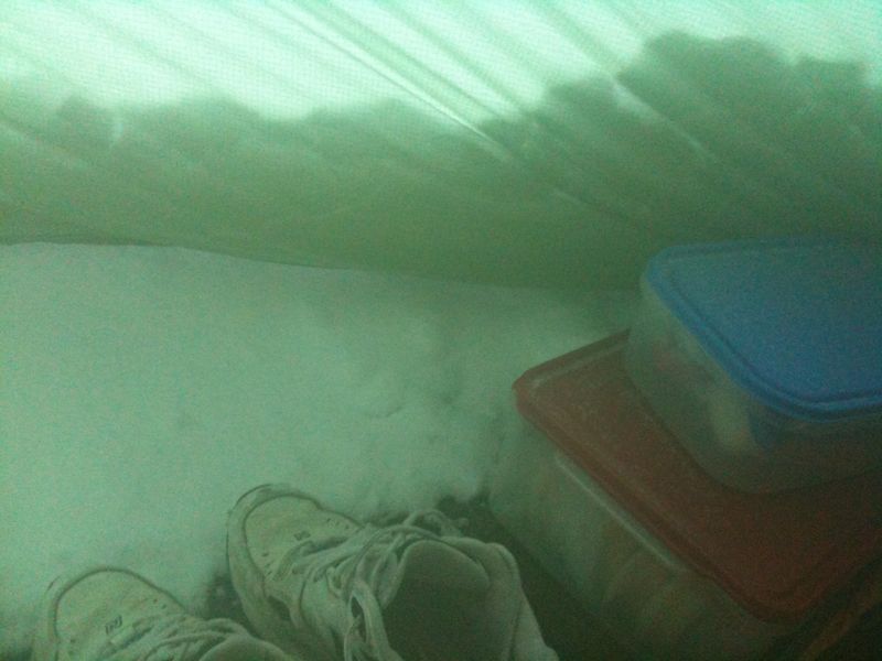 IMG_0011.jpg