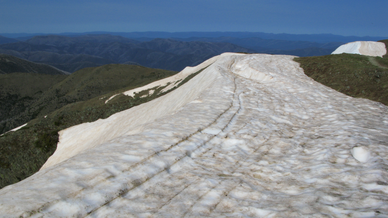 Summit of Mount Feathertop snowdrift.png